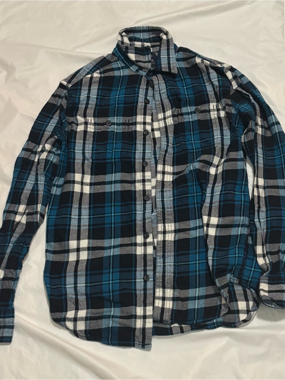 American Eagle Outfitters Blue and White Plaid Button-Down Shirt